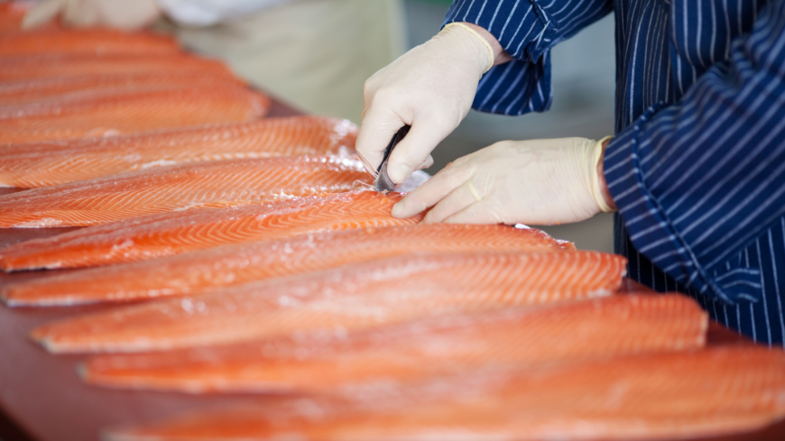 D-vitamin kan du bland annat få i dig via fet fisk som lax. Foto: Shutterstock